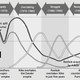 The history of the sneaker market